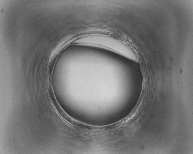 X0000059800101200510210907