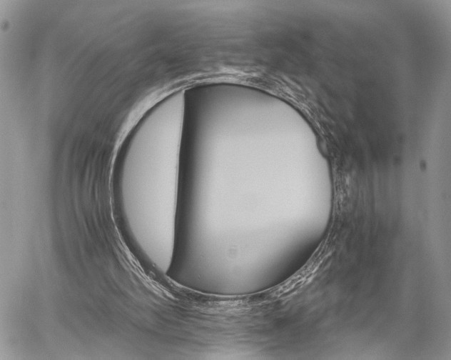 X0000059800102200510210907