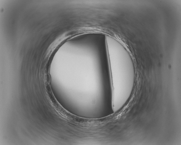 X0000059800103200510210907