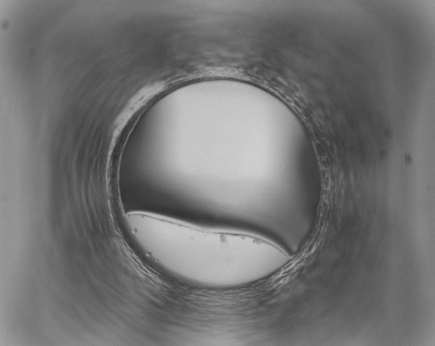 X0000059800104200510210907