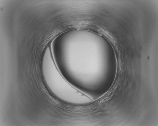 X0000059800105200510210907