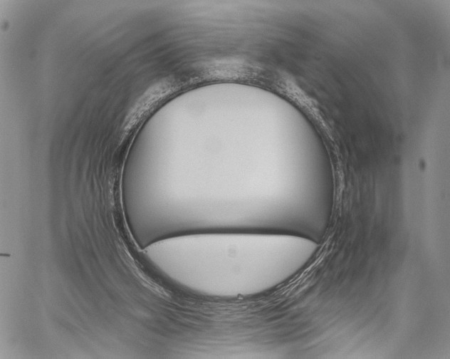 X0000059800106200510210907