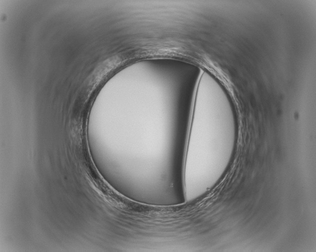 X0000059800107200510210907