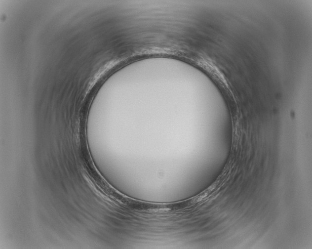 X0000059800108200510210907