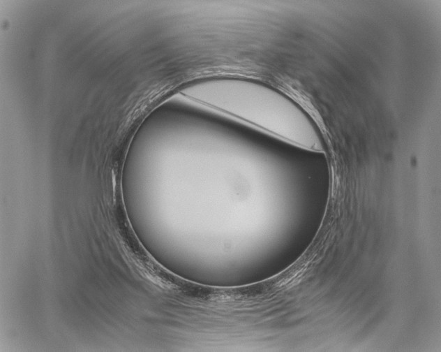 X0000059800109200510210907