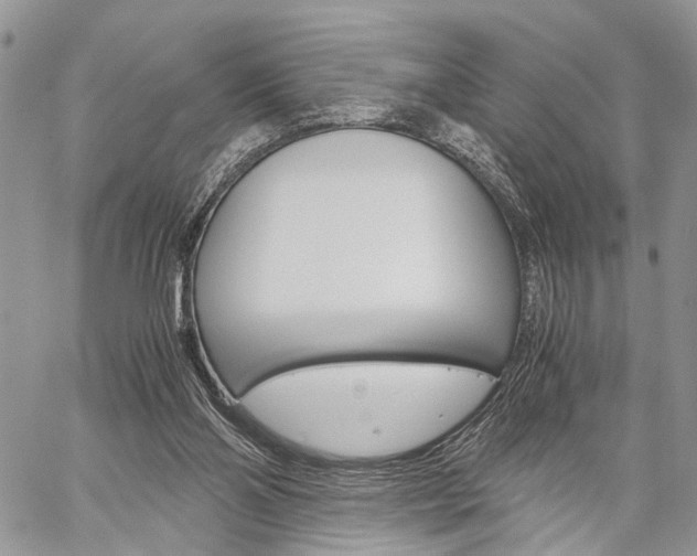 X0000059800110200510210907