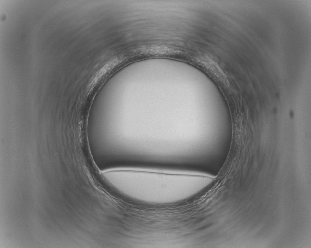 X0000059800111200510210907