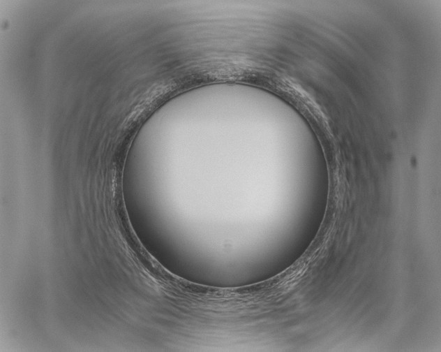 X0000059800113200510210907