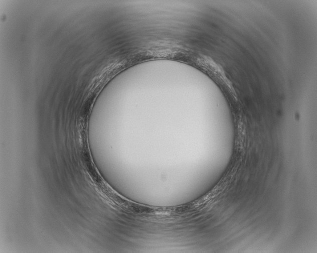 X0000059800114200510210907