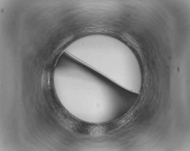 X0000059800115200510210907