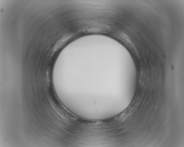 X0000059800116200510210907