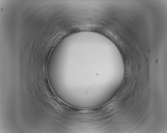 X0000059800117200510210906