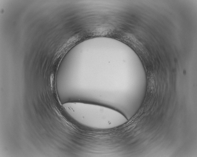 X0000059800118200510210906