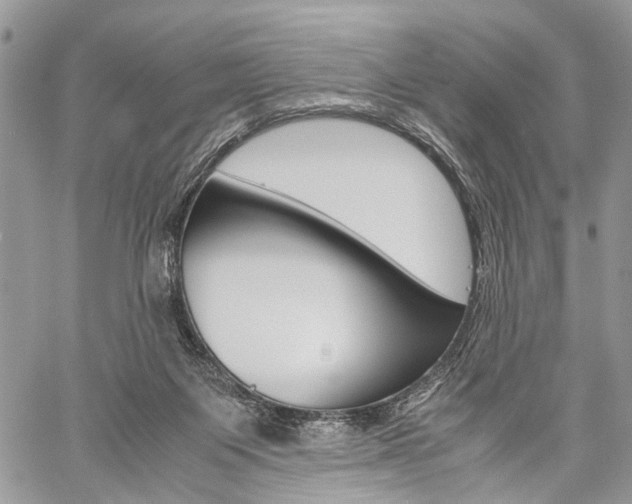 X0000059800119200510210906