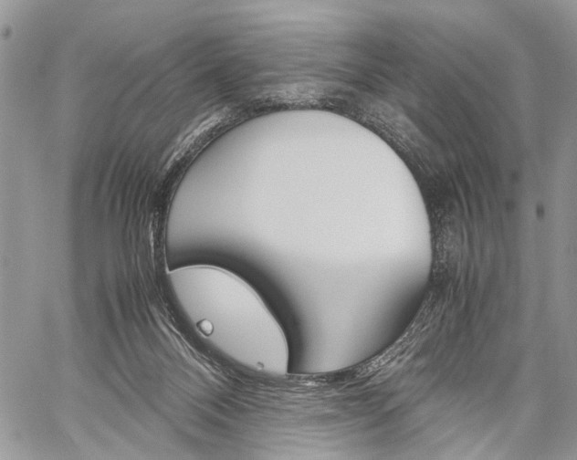 X0000059800120200510210906