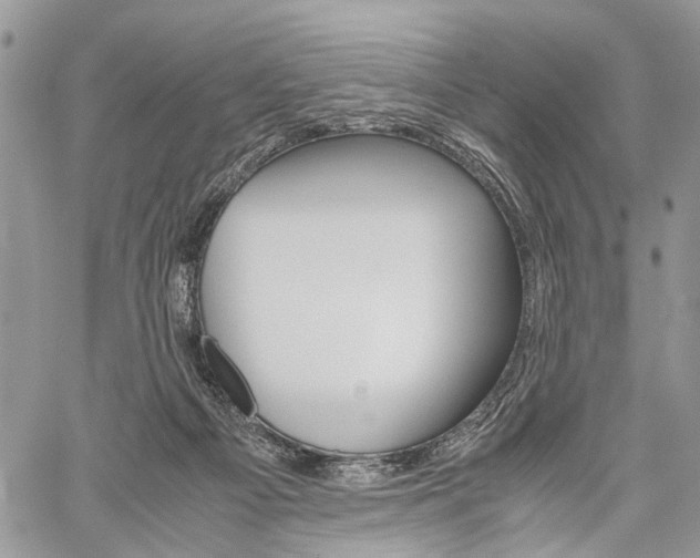 X0000059800121200510210906