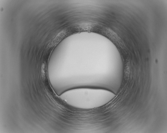 X0000059800122200510210906