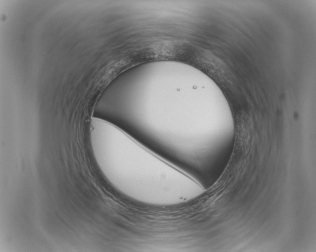 X0000059800123200510210906