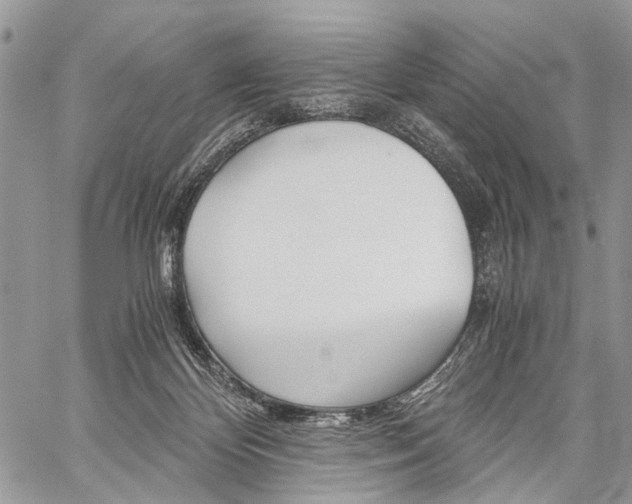 X0000059800124200510210906