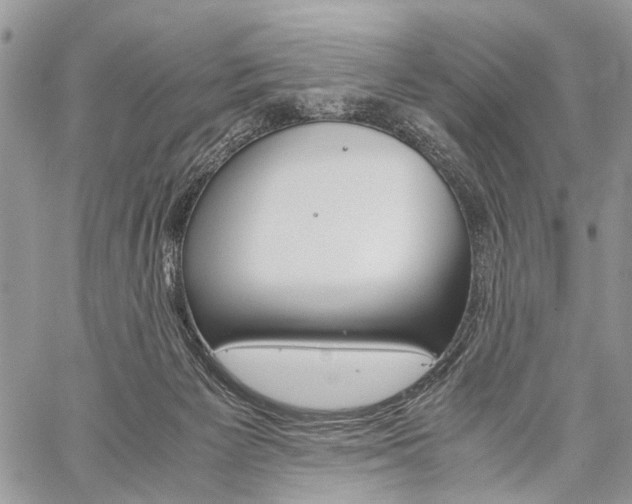 X0000059800125200510210906