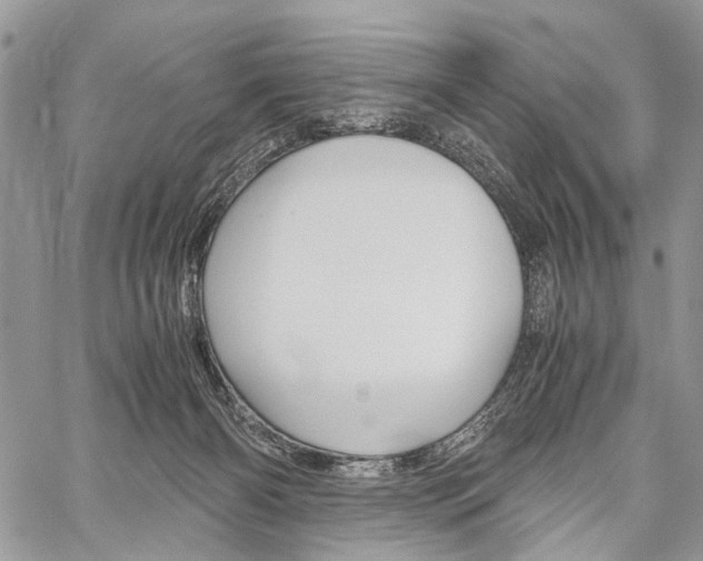 X0000059800126200510210906