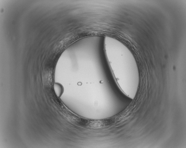 X0000059800127200510210906