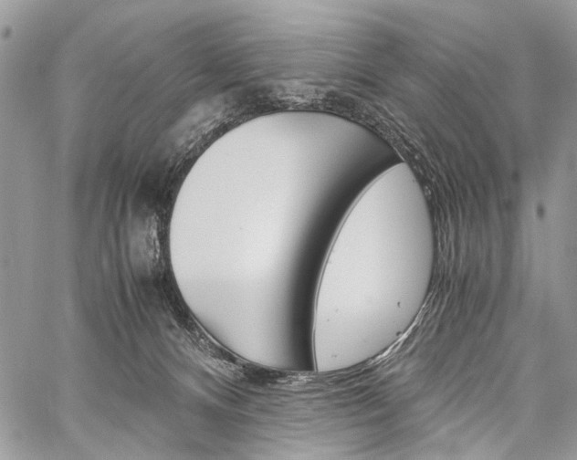 X0000059800128200510210906