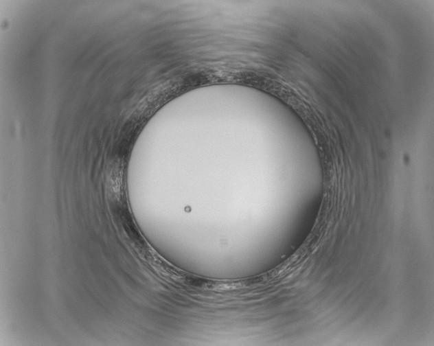 X0000059800129200510210906