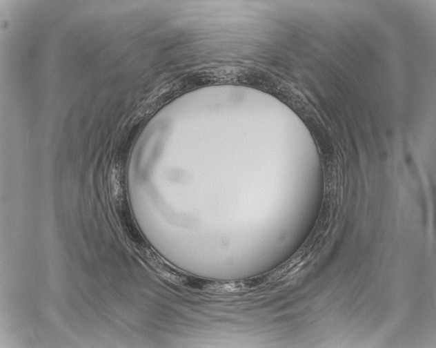 X0000059800131200510210906