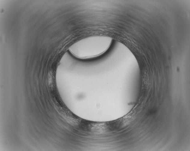 X0000059800132200510210906