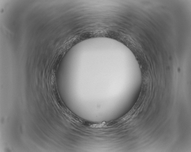 X0000059800133200510210906