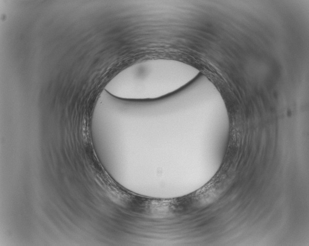 X0000059800134200510210906