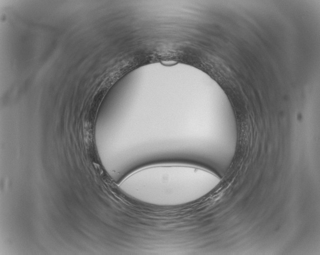 X0000059800135200510210906