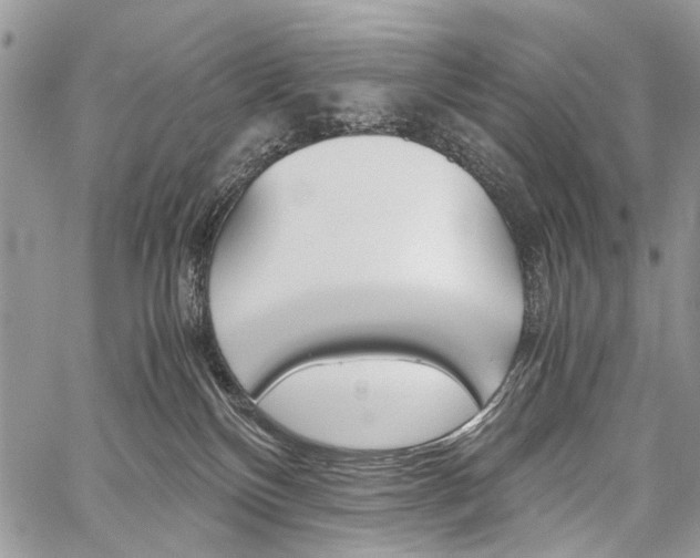 X0000059800136200510210906