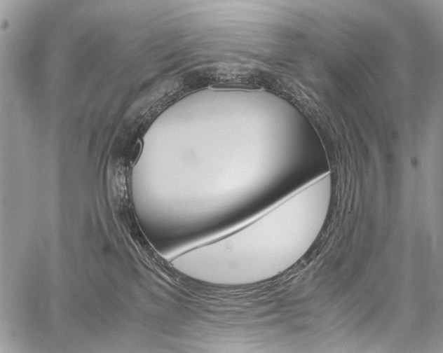 X0000059800137200510210906