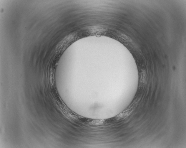 X0000059800138200510210906