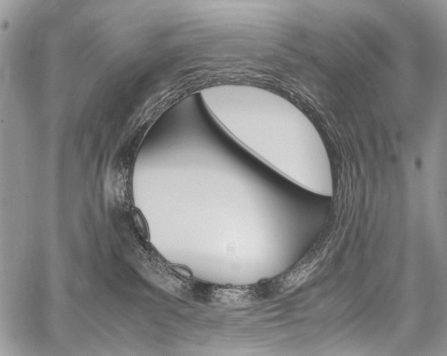 X0000059800139200510210906