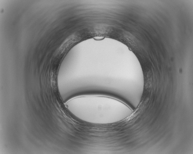 X0000059800140200510210906