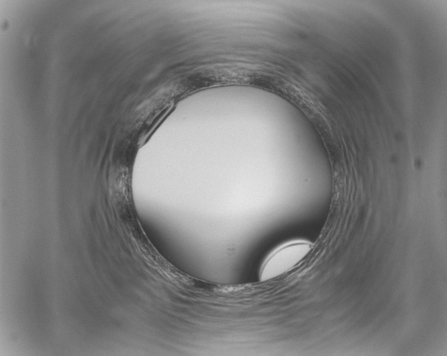 X0000059800141200510210906