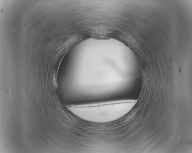 X0000059800143200510210906