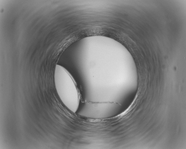 X0000059800144200510210906