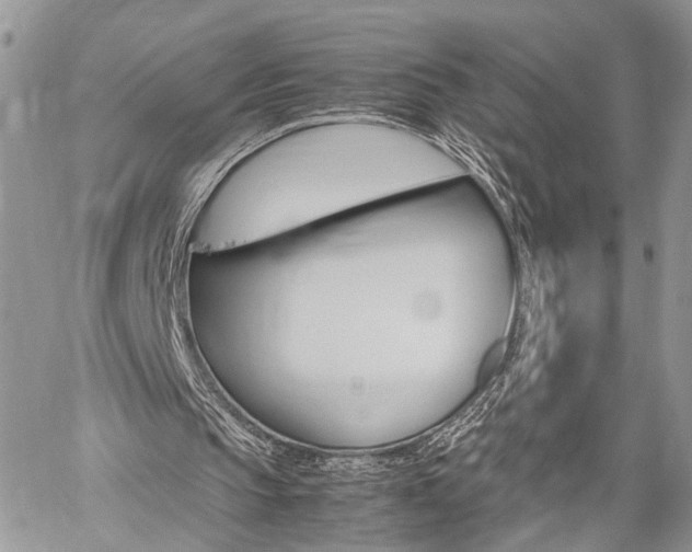 X0000059800145200510210905