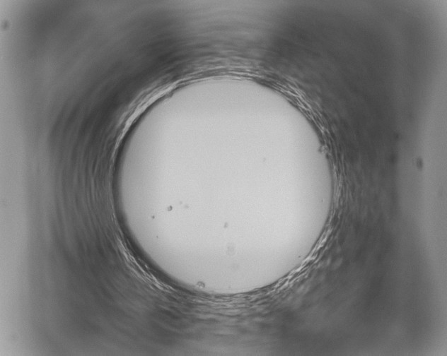 X0000059800146200510210905