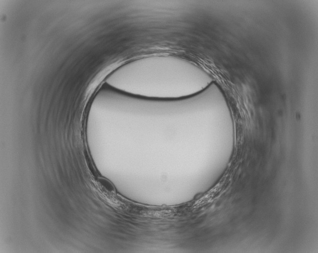 X0000059800147200510210905