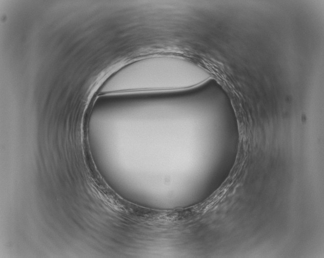 X0000059800148200510210905