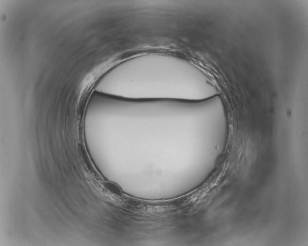 X0000059800149200510210905