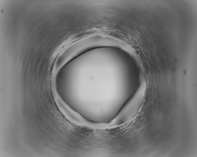 X0000059800150200510210905