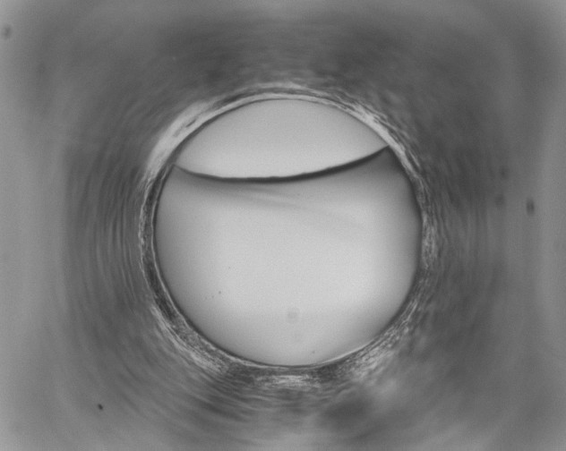 X0000059800151200510210905