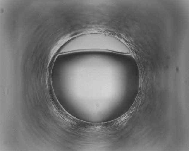 X0000059800152200510210905