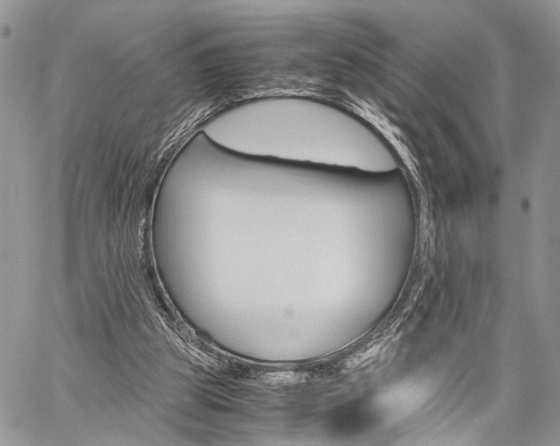 X0000059800153200510210905